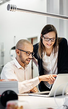 Consulting Services